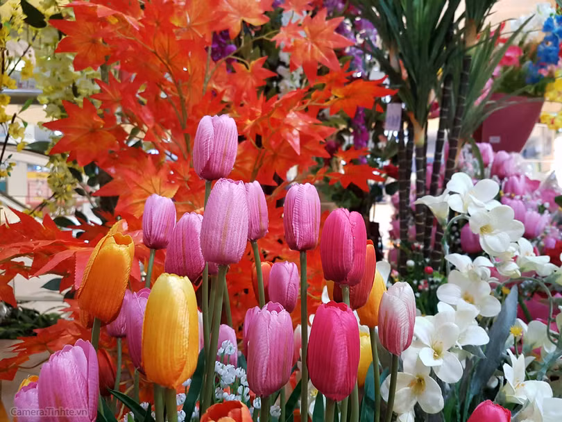 Review Camera của Samsung Galaxy S7 / S7edge ảnh 19