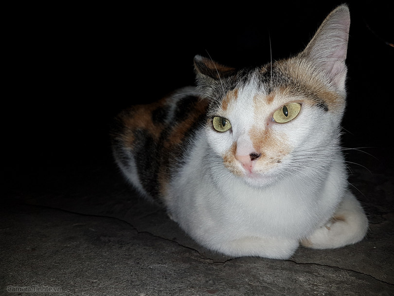 Review Camera của Samsung Galaxy S7 / S7edge ảnh 29