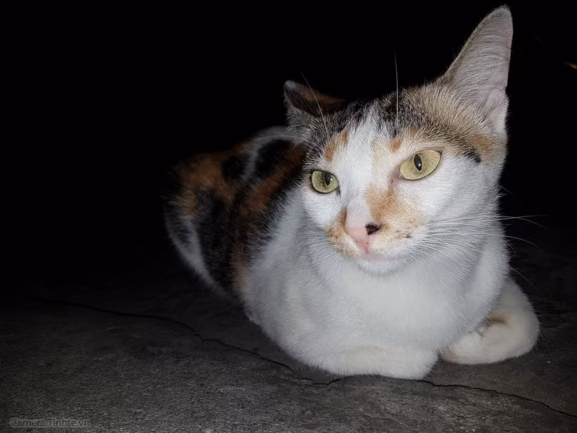 Review Camera của Samsung Galaxy S7 / S7edge ảnh 29