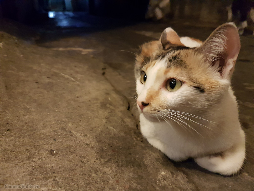 Review Camera của Samsung Galaxy S7 / S7edge ảnh 28