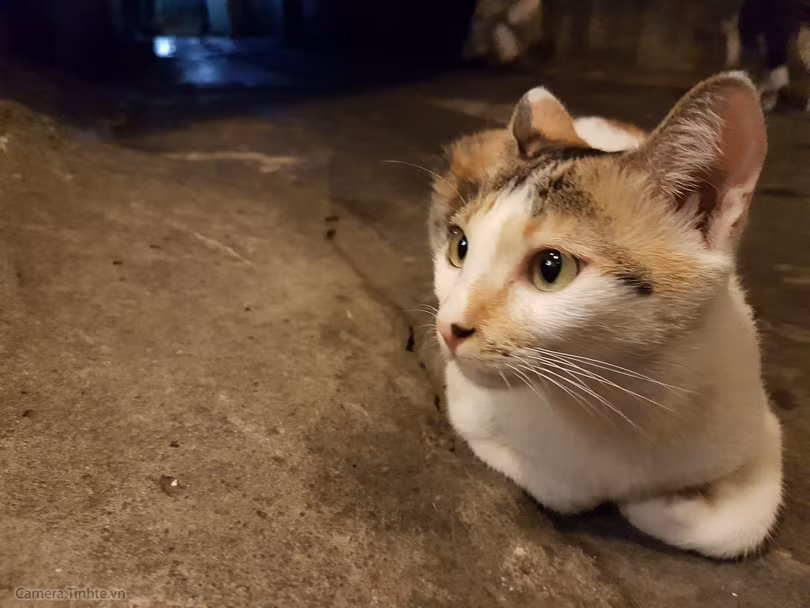 Review Camera của Samsung Galaxy S7 / S7edge ảnh 28