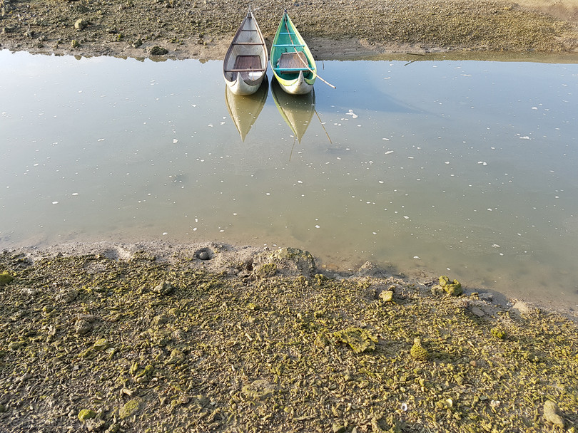 Review Camera của Samsung Galaxy S7 / S7edge ảnh 13