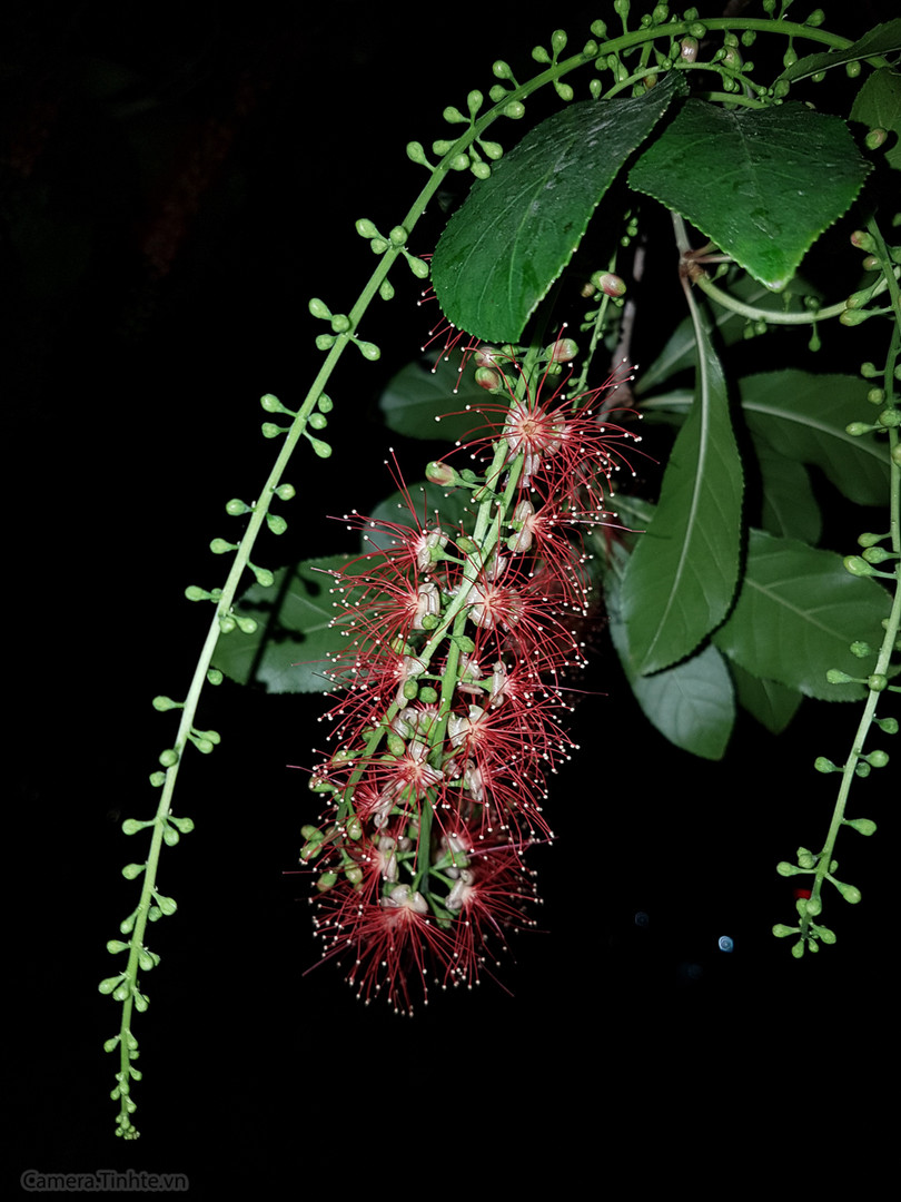 Review Camera của Samsung Galaxy S7 / S7edge ảnh 30