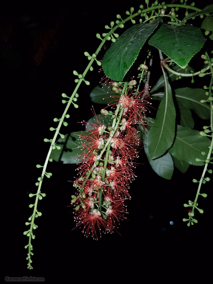 Review Camera của Samsung Galaxy S7 / S7edge ảnh 30