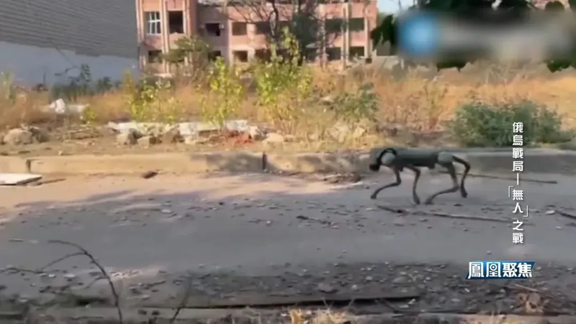 Robot chien dau Ukraine.png