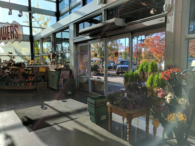 Google xác nhận lỗi flare trên camera của flagship Pixel ảnh 2