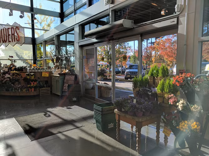 Google xác nhận lỗi flare trên camera của flagship Pixel ảnh 2