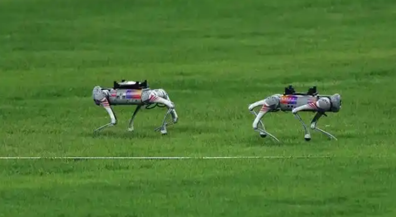 Ro bot nhat ta và lao.png