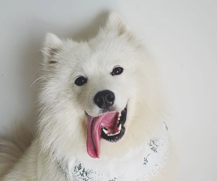 Ảnh chụp màn hình 2024-10-15 112401.png