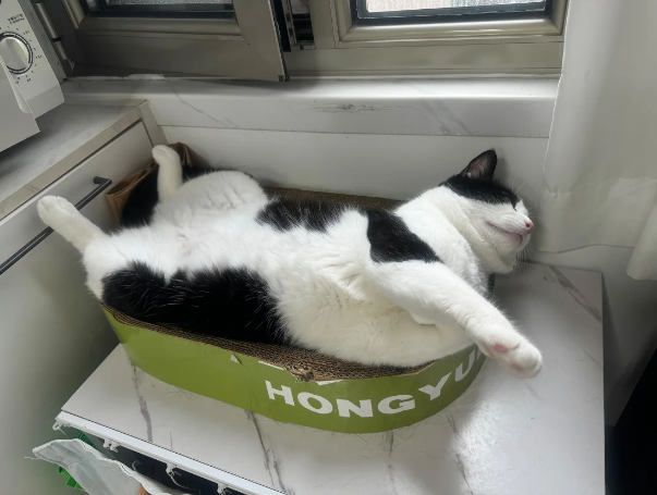 Ảnh chụp màn hình 2024-10-15 112435.png