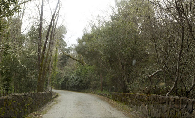 Chiêm ngưỡng bên trong biệt thự đắt nhất tại thung lũng Silicon ảnh 1