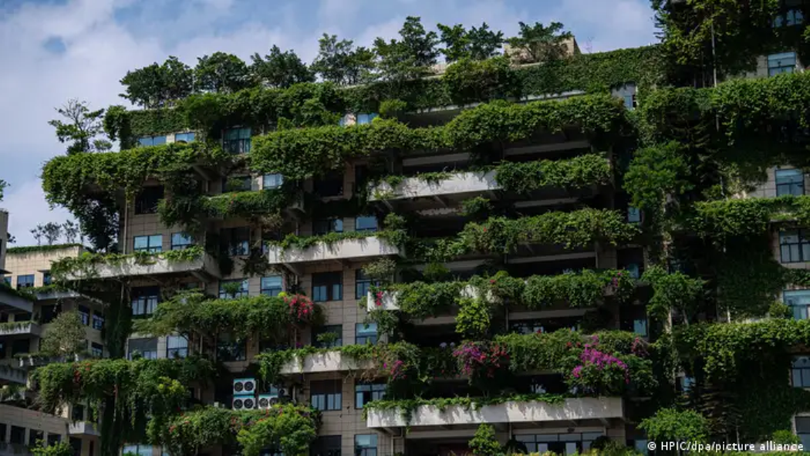 Mot khu nha trong Forest Gaden.png