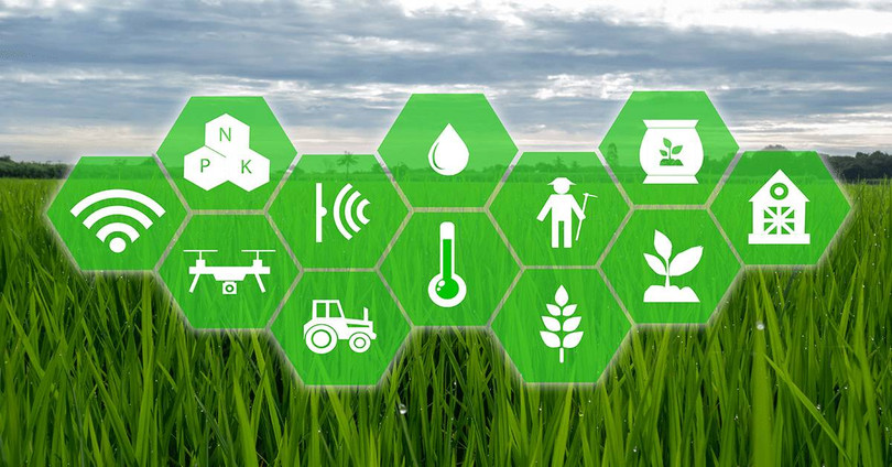 (ảnh minh họa: Forbes)