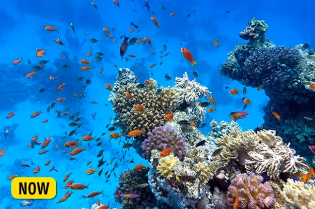 10 địa điểm nổi tiếng trên thế giới sẽ sớm biến mất trong tương lai ảnh 19