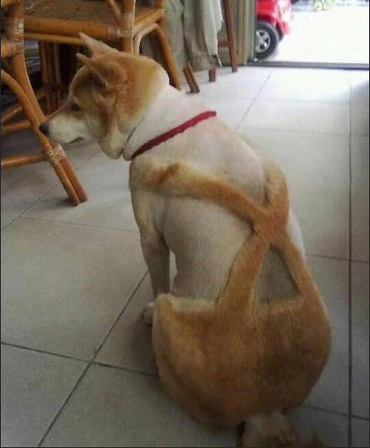 20 điều đặc biệt bạn chỉ có thể thấy ở Đức ảnh 6