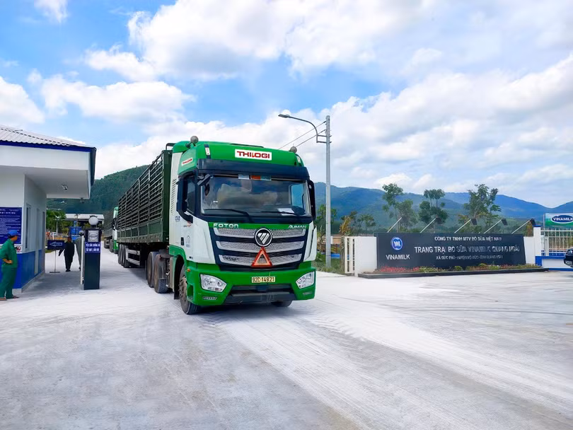 Van-chuyen-bo-cho-Vinamilk.jpeg