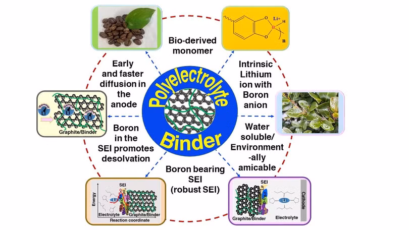 Chất kết dính polyelectrolyte dạng nước loại borat lithium cho cực dương than chì. Giúp tăng cường khả năng khuếch tán Li-ion và trở kháng thấp hơn so với pin thông thường khiến pin sạc nhanh. Ảnh Noriyoshi Matsumi /JAIST