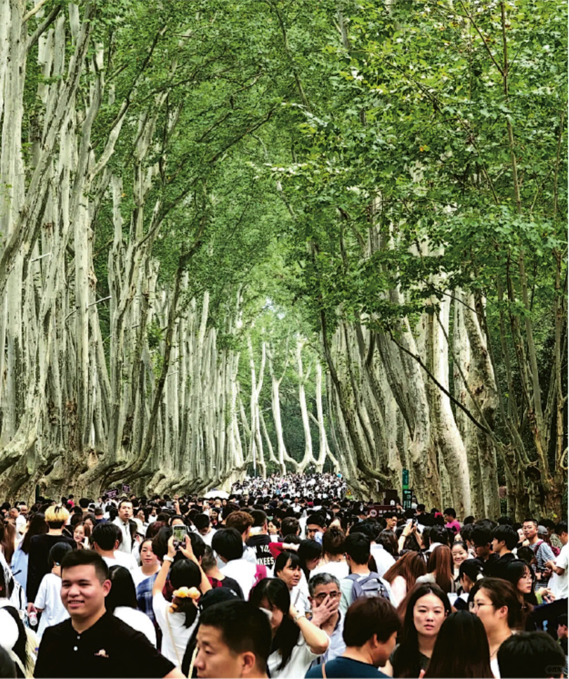 Dai lo Ngo Dong Nam Kinh.png