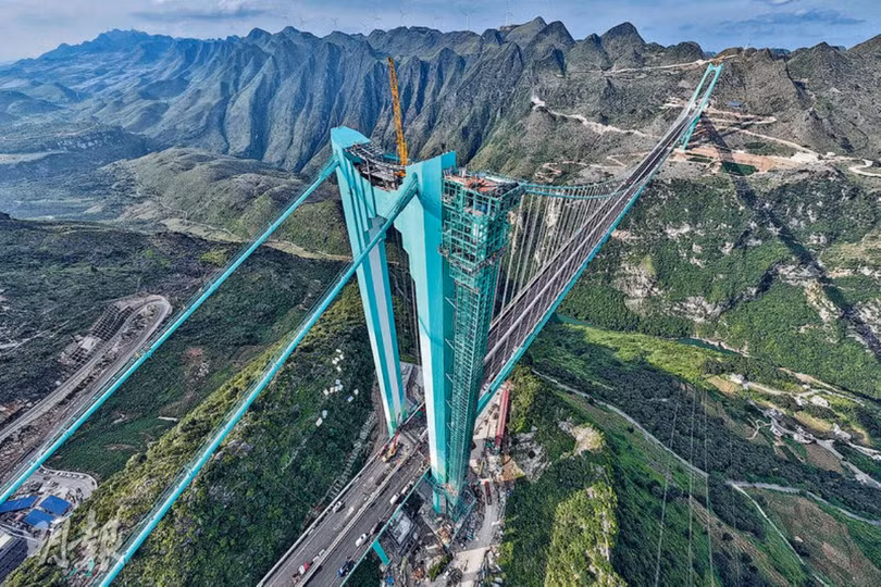 Ve hung vi cua cau.jpg