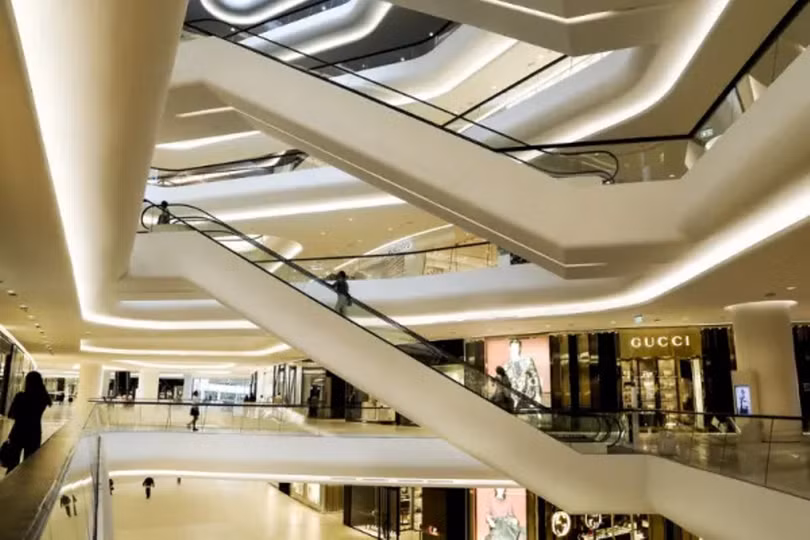 Canh diu hiu trong thuong truong.png