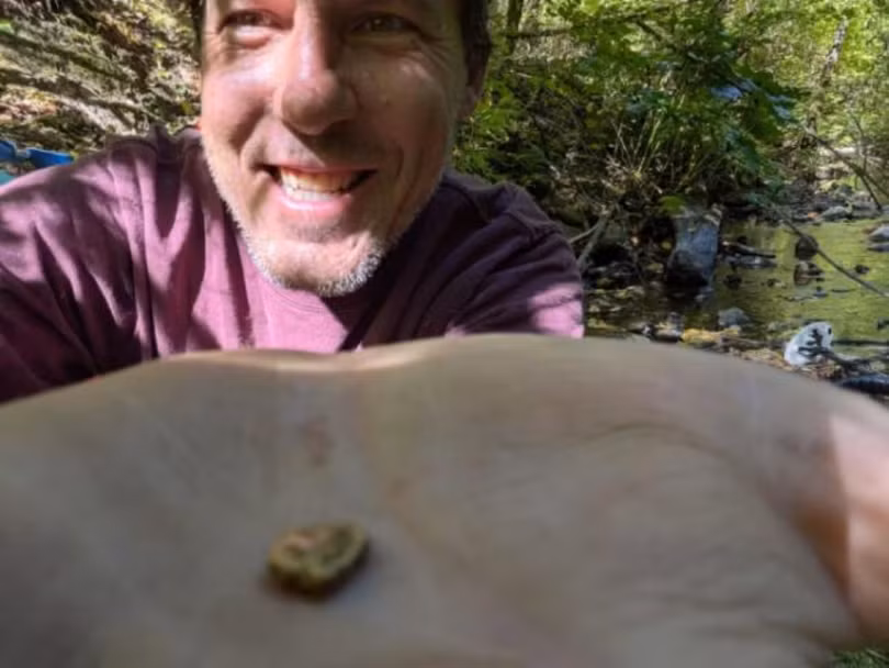 Mike Hewlett tim duoc vang.png