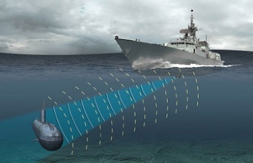 Những phát minh tuyệt vời loài người học lỏm từ thiên nhiên ảnh 4 Những phát minh tuyệt vời loài người học lỏm từ thiên nhiên ảnh 4