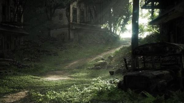 Thảm thực vật bảo phủ mọi nơi.