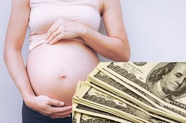 Ngành công nghiệp mang thai hộ thu về lợi nhuận khổng lồ.