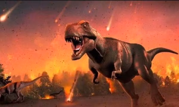 Các loài khủng long biến mất khỏi hành tinh một phần do núi lửa.