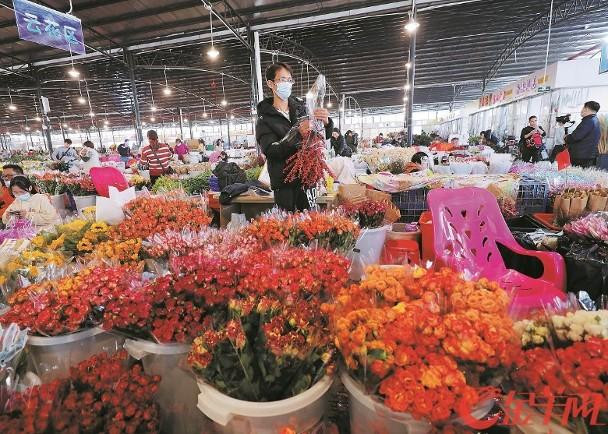 Giá hoa các loại rẻ hơn năm ngoái 30% mà vẫn ế ẩm (Ảnh: Dongfang). Giá hoa các loại rẻ hơn năm ngoái 30% mà vẫn ế ẩm (Ảnh: Dongfang).