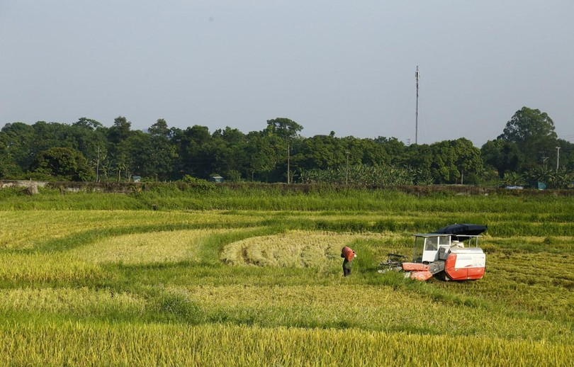 Phát triển nông thôn mới theo hướng bền vững, kết hợp chuyển đổi số