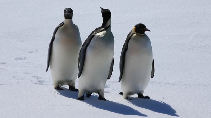 Ảnh: News Info Park