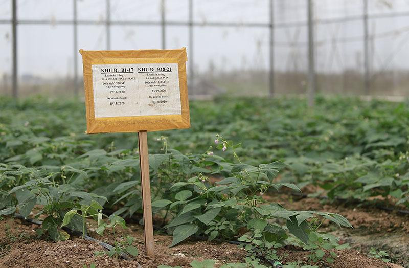 Nhật ký nông vụ được ghi chép cẩn thận nhờ máy tính