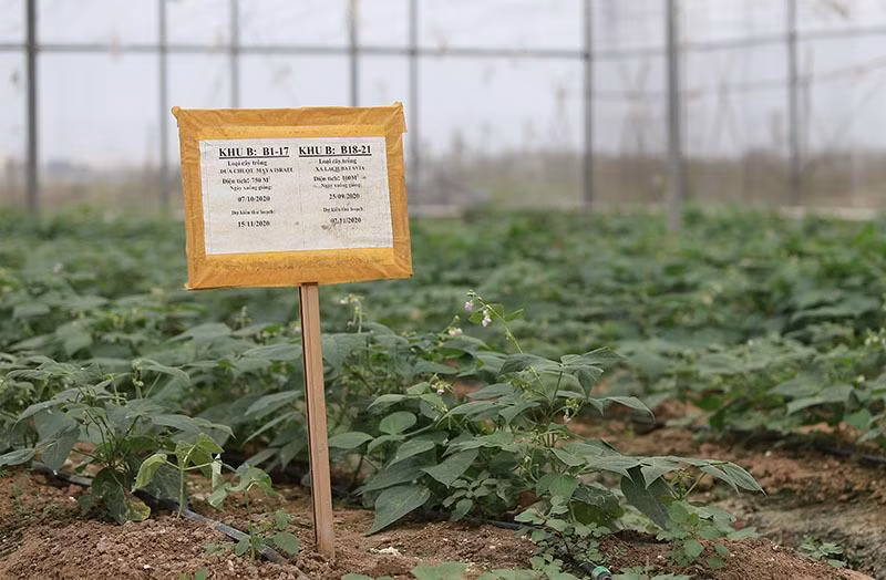 Nhật ký nông vụ được ghi chép cẩn thận nhờ máy tính