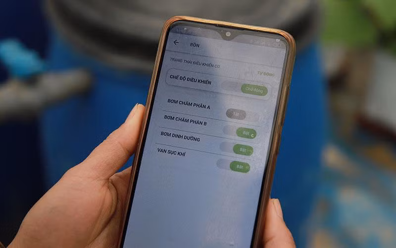 Quản lý và vận hành vườn rau từ điện thoại thông minh