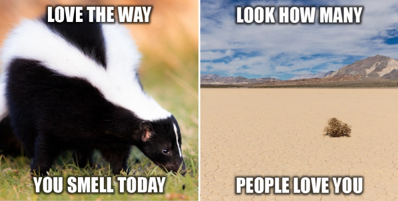 Xét riêng văn bản, nội dung có thể mang tính tích cực, nhưng kết hợp với hình ảnh lại truyền tải thông điệp thù ghét. Ảnh: Venturebeat. Xét riêng văn bản, nội dung có thể mang tính tích cực, nhưng kết hợp với hình ảnh lại truyền tải thông điệp thù ghét. Ảnh: Venturebeat.