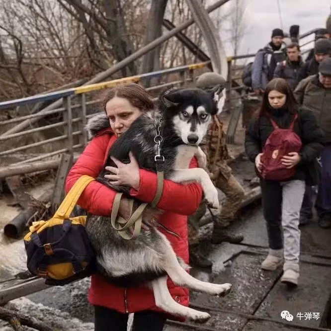 Theo Liên Hợp Quốc, đã có 2,5 triệu người Ukraine phải ra nước ngoài tỵ nạn (Ảnh: Sina). Theo Liên Hợp Quốc, đã có 2,5 triệu người Ukraine phải ra nước ngoài tỵ nạn (Ảnh: Sina).