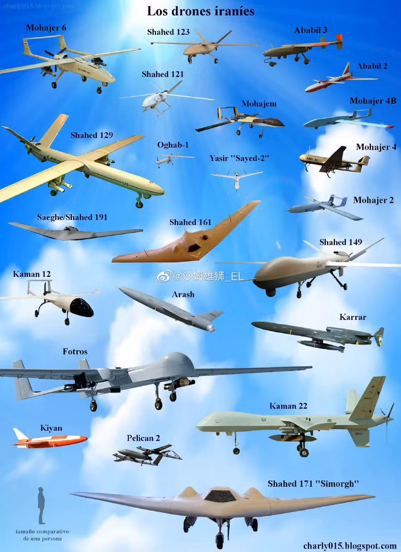 Các loại máy bay không người lái của Quân đội Iran (Ảnh: 163).