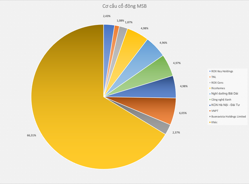 co-dong-MSB-viettimes