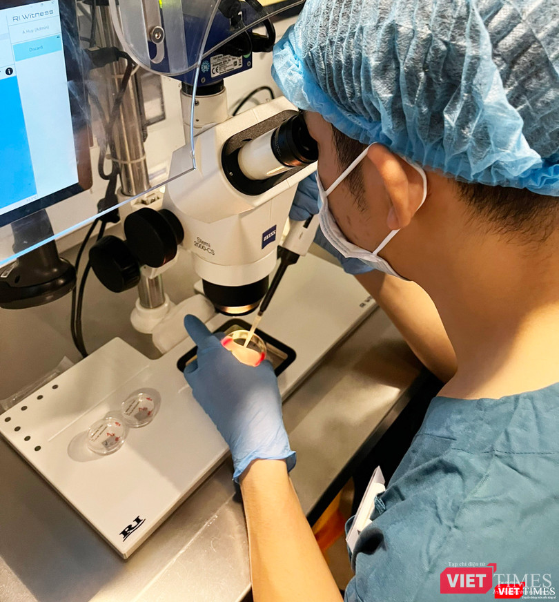 Chuyên viên phôi học đang tìm trứng non Chuyên viên phôi học đang tìm trứng non