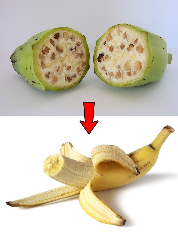 13 điều quen thuộc ngày nay đã biến đổi kì diệu như thế nào so với quá khứ? ảnh 10