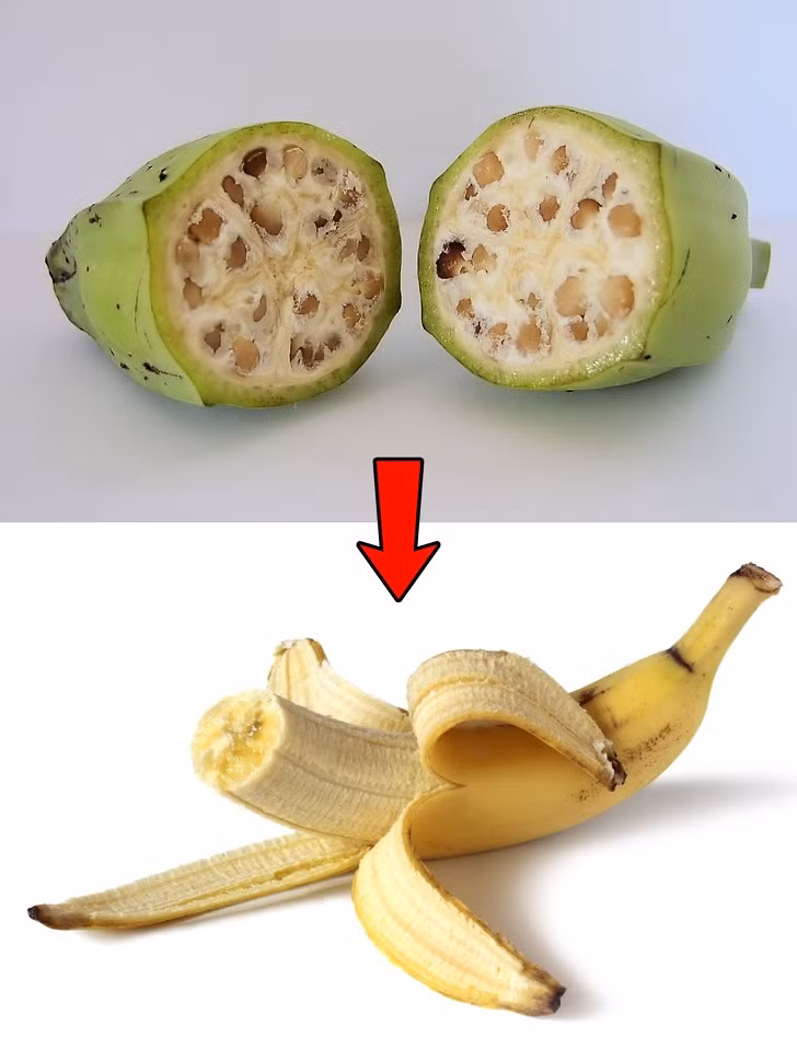 13 điều quen thuộc ngày nay đã biến đổi kì diệu như thế nào so với quá khứ? ảnh 10