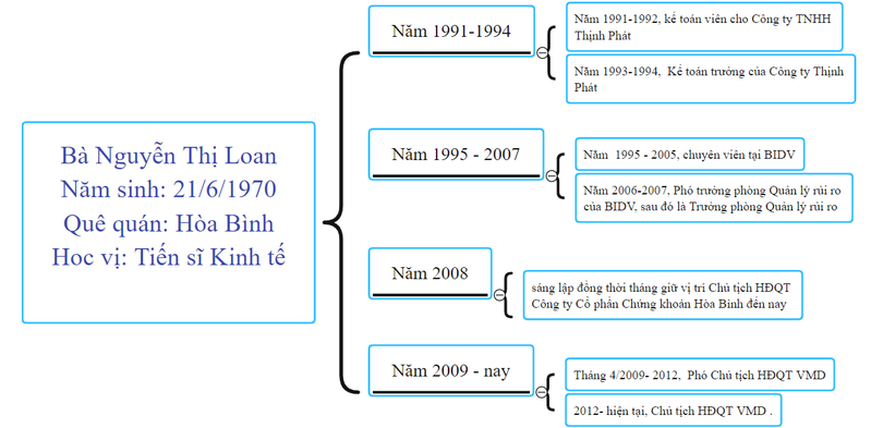 Bộ Công an khởi tố, bắt tạm giam "nữ tướng" Vimedimex Nguyễn Thị Loan - Ảnh 2.