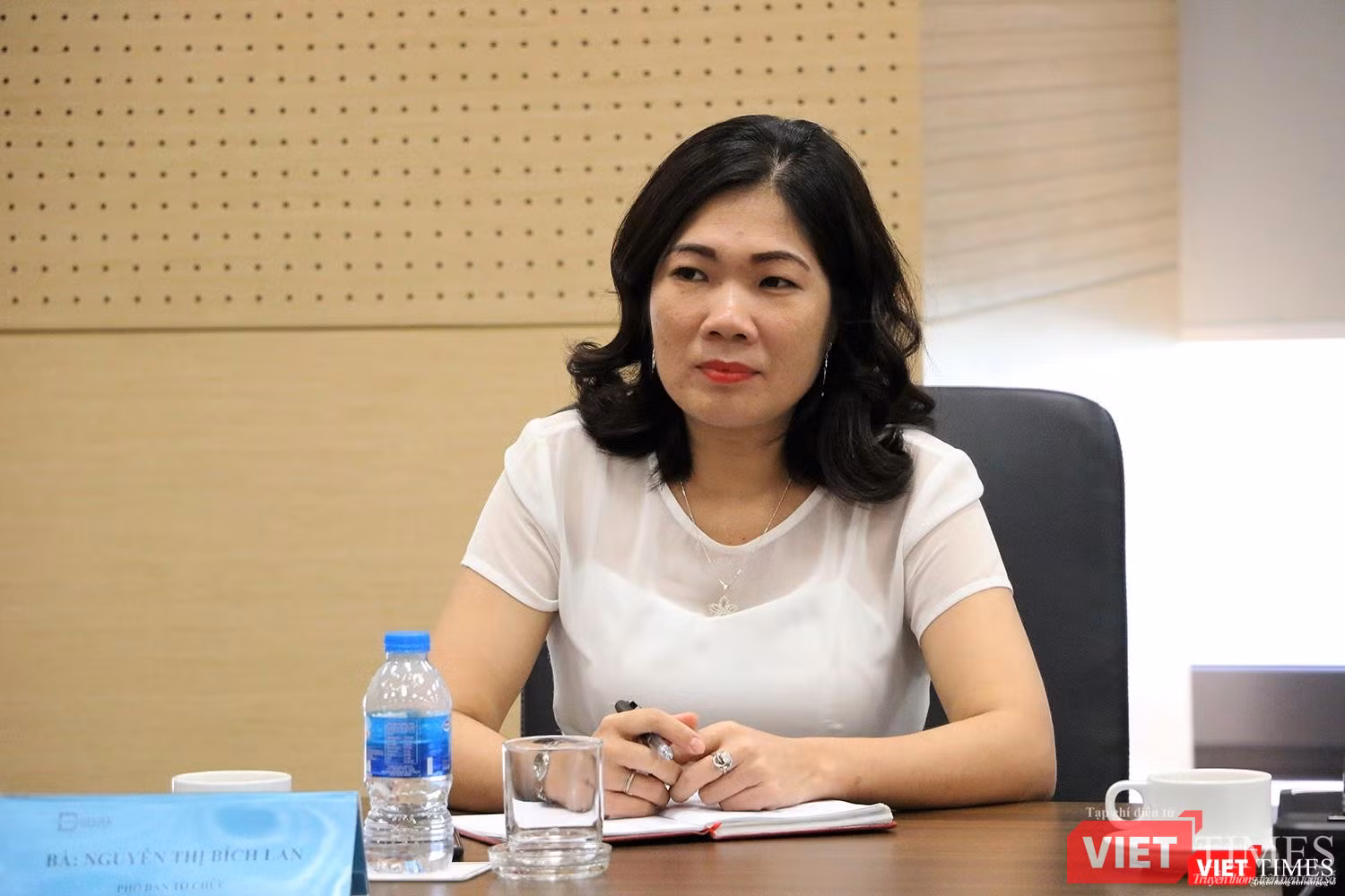 bà Nguyễn Thị Bích Lan - Giám đốc Trung tâm Hợp tác Phát triển ICT