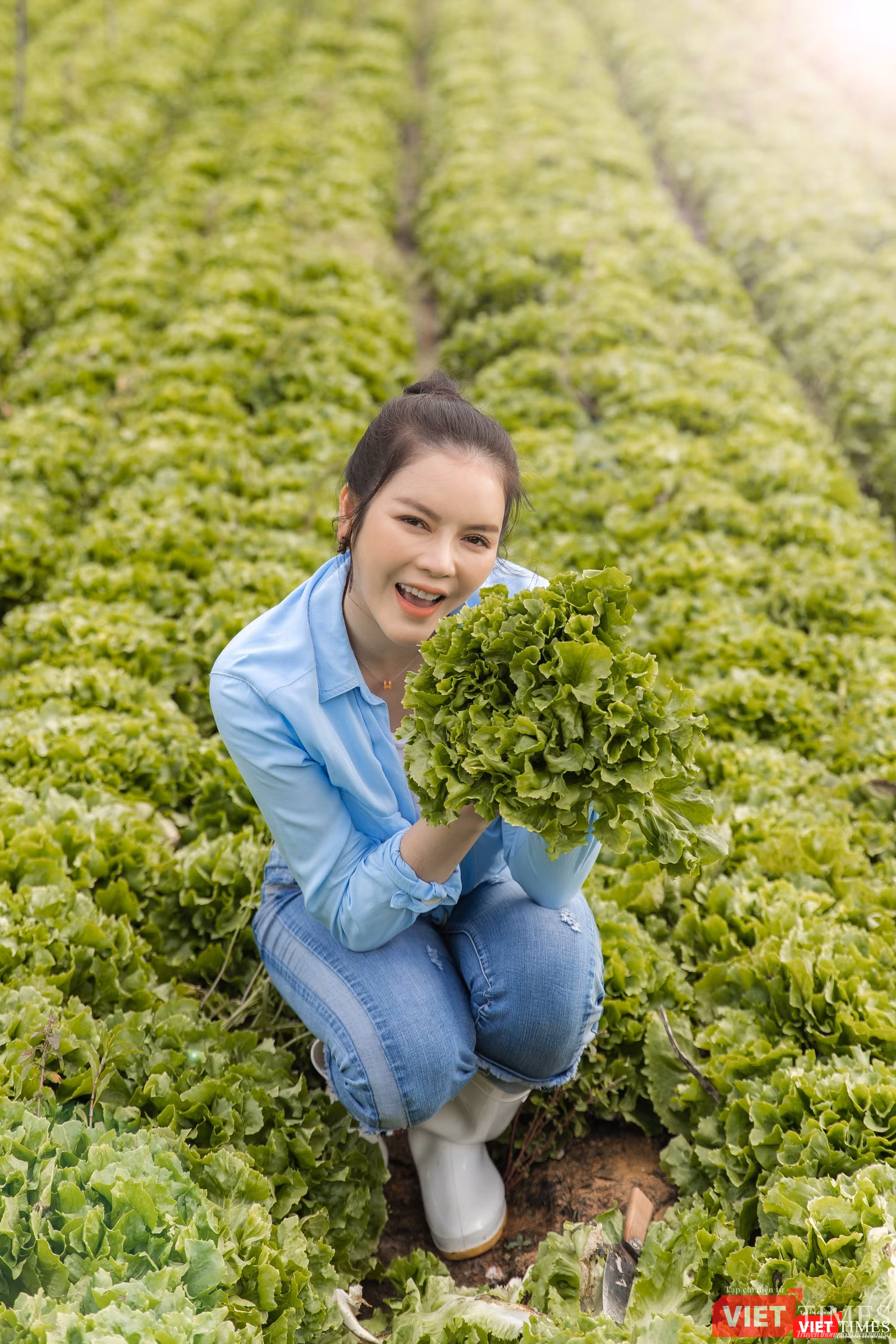 Thu hoạch rau sạch trong khu vườn xanh ngút mắt Thu hoạch rau sạch trong khu vườn xanh ngút mắt