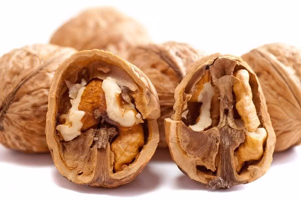 Hạt óc chó chứa một tỷ lệ tối ưu của các axit béo thiết yếu Hạt óc chó chứa một tỷ lệ tối ưu của các axit béo thiết yếu