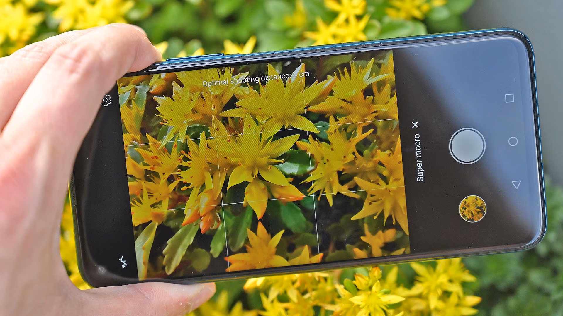 Chụp các bức ảnh cận cảnh bằng ống marco trên Honor 20 Pro tương đối khó, đặc biệt khi bạn không thể dựa vào hệ thống lấy nét tự động. Ảnh: Gizmodo Chụp các bức ảnh cận cảnh bằng ống marco trên Honor 20 Pro tương đối khó, đặc biệt khi bạn không thể dựa vào hệ thống lấy nét tự động. Ảnh: Gizmodo
