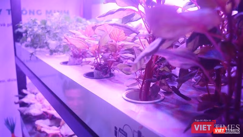 Công ty CP Giải pháp Nông nghiệp thông minh cam kết Tủ rau thông minh là giải pháp giảm thiểu tác động tới môi trường