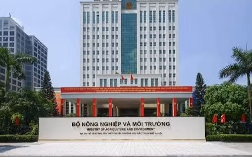 Bộ Nông nghiệp và Môi trường để xảy ra nhiều vi phạm trong cấp phép khoáng sản