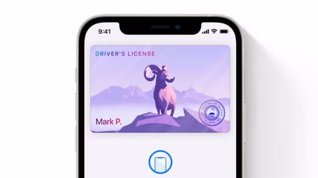 Ví Apple Wallet có thể chứa giấy phép lái xe (ảnh Apple) Ví Apple Wallet có thể chứa giấy phép lái xe (ảnh Apple)